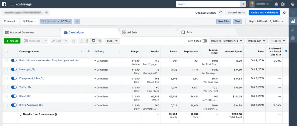 Facebook Ads Manager campaign performance settings
